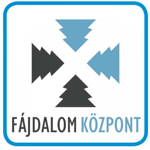 Összefoglaló a Szakmai Napról