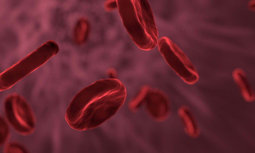 vörösvérsejtek